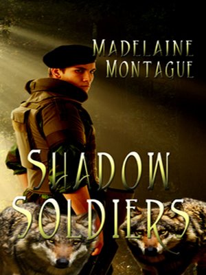 cover image of Shadow Soldiers